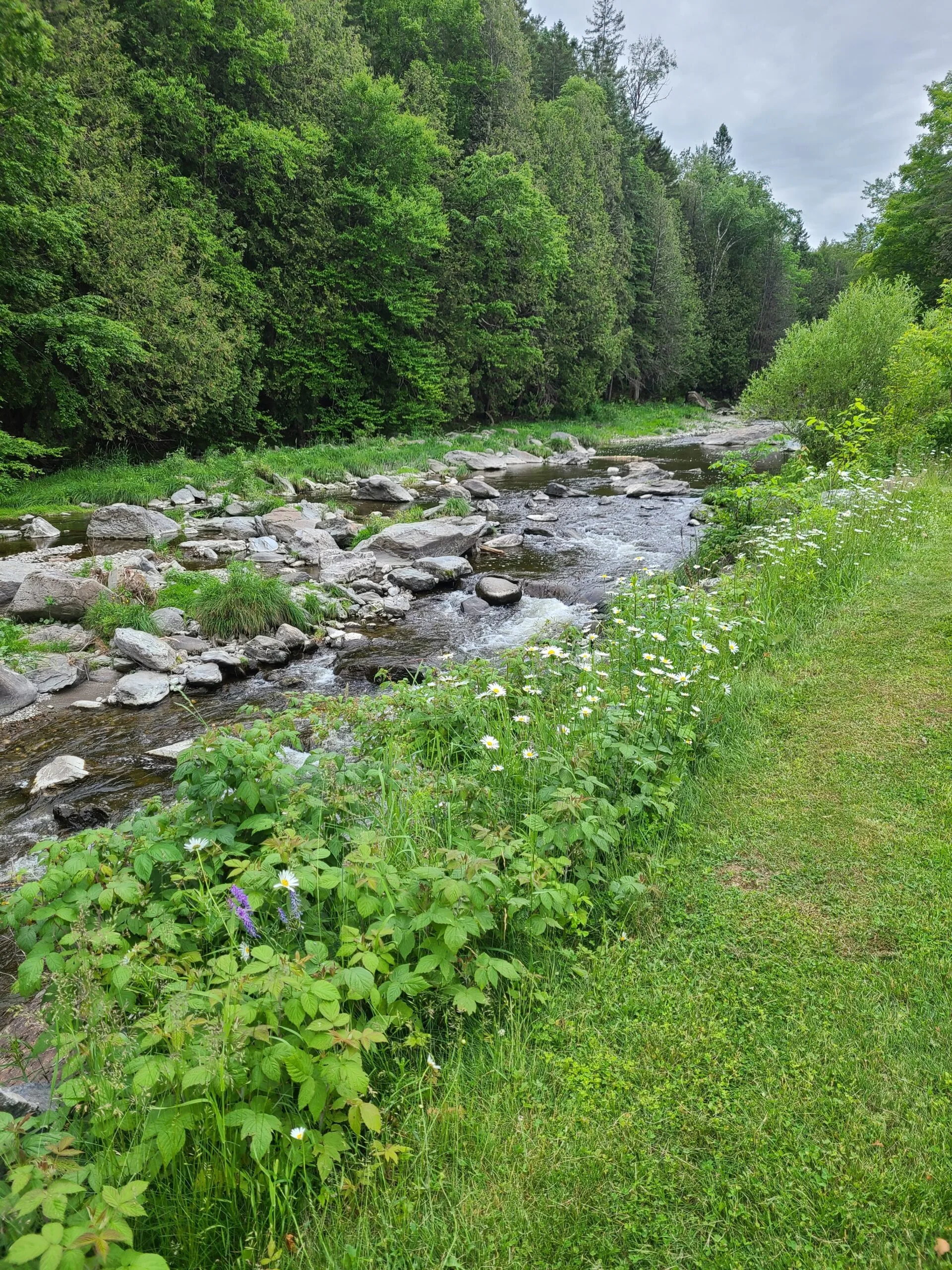 riviere des fermes Riviere des fermes à St-Joseph-de-Beauce