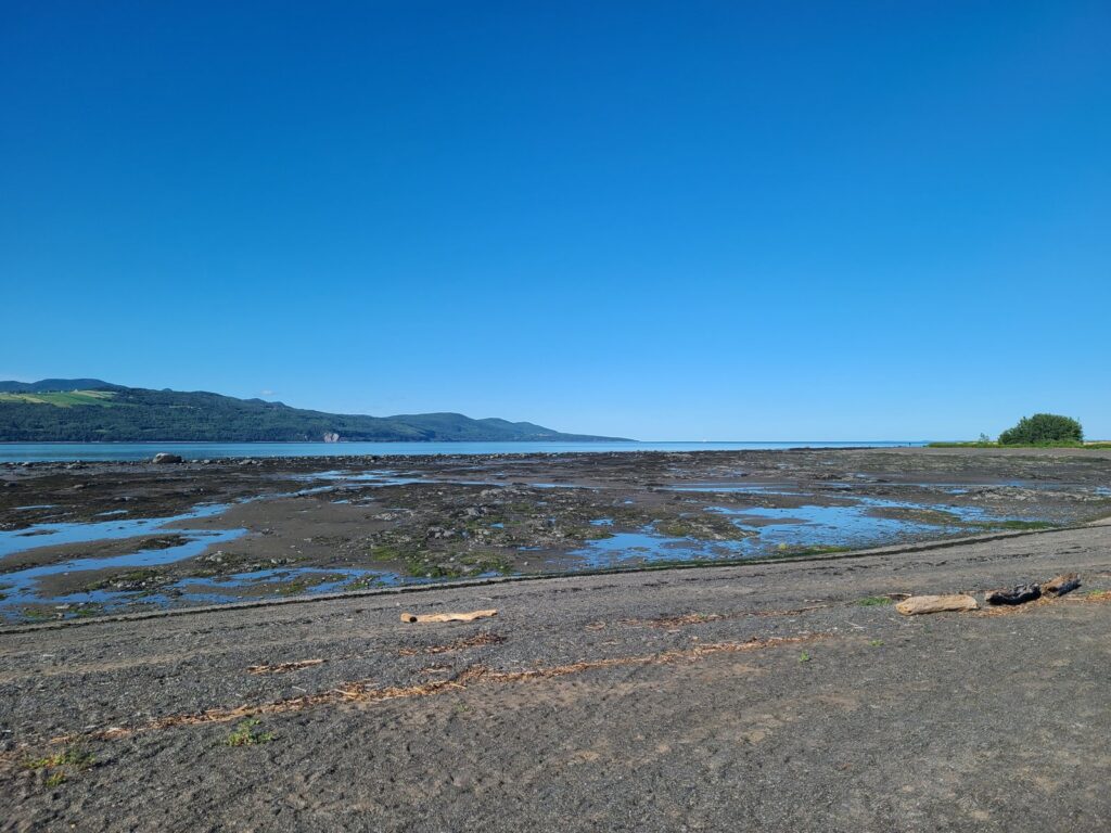 Le fleuve à marée basse à La Malbaie, avec les montagnes de Charlevoix